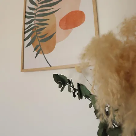 Sublime Appartement Avec Parking Sur Ajaccio *